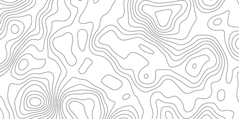 White topology topography vector art abstract background digital shapes contour map texture