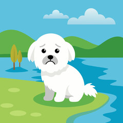 Cotton De Tulear dog abandoned cries lake vector illustration