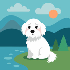 Cotton De Tulear dog abandoned cries lake vector illustration