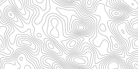 Fototapeta premium White topology topography vector art abstract background digital shapes contour map texture