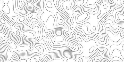 Fototapeta premium White topology topography vector art abstract background digital shapes contour map texture