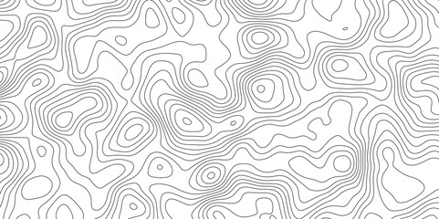 White topology topography vector art abstract background digital shapes contour map texture