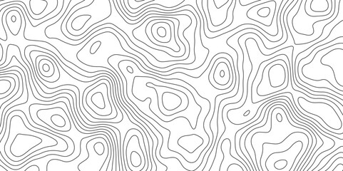 White topology topography vector art abstract background digital shapes contour map texture