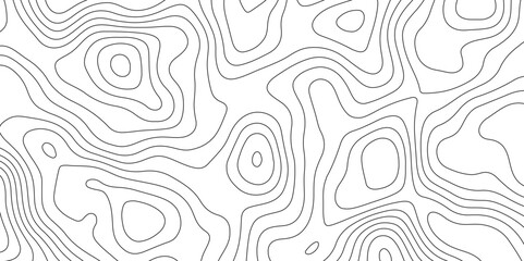 White topology topography vector art abstract background digital shapes contour map texture