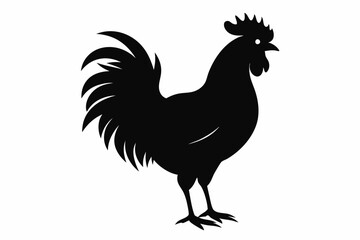 Rooster vector silhouette on white background