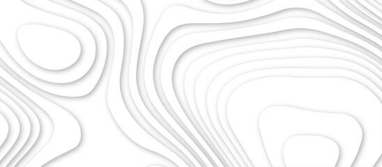 White topography 3d layers papercut design dropshadowed abstract contour map texture 3d design