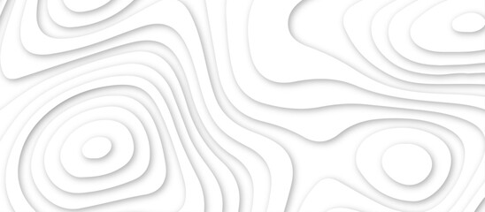 White topography 3d layers papercut design dropshadowed abstract contour map texture 3d design