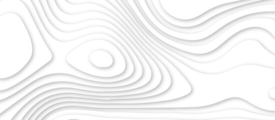 White topography 3d layers papercut design dropshadowed abstract contour map texture 3d design