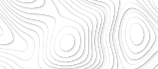 White topology topography vector art abstract background digital shapes contour map texture