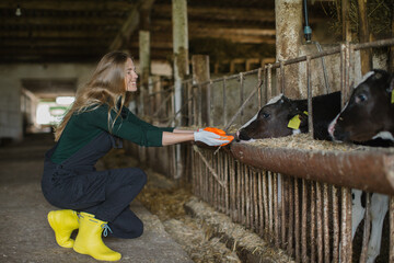 A smiling young woman on a farm takes care of calves in a stall.