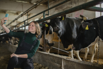 A young female farmer takes a selfie with cows on a mobile phone.