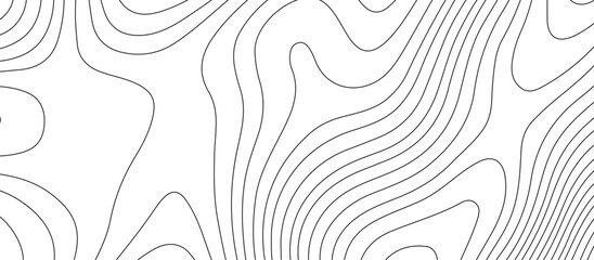 White  topography topology vector abstract background texture contour map gray curved lines on fresh white background desktop wallpaper 