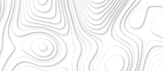 White topography 3d layers papercut design dropshadowed abstract contour map texture 3d design