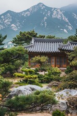 Traditional Korean house