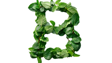 Letter B Made with Leaves, PNG File, Transparent Background, Isolated on White
