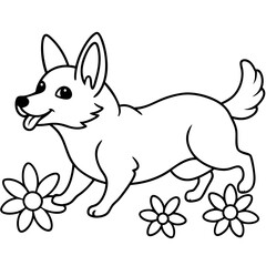 Corgi dog breed coloring page