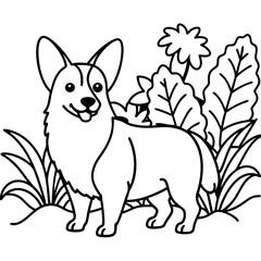 Corgi dog breed vector black line