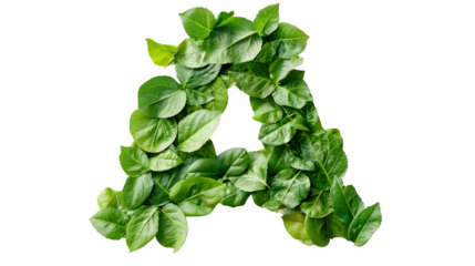 Letter A Made with Leaves, PNG File, Transparent Background, Isolated on White