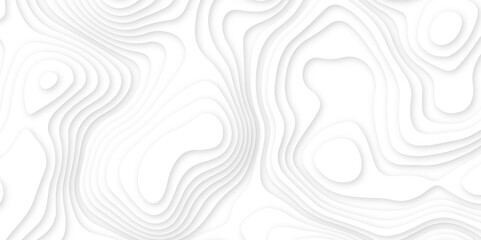 Fototapeta premium White topography 3d layers papercut design dropshadowed abstract contour map texture 3d design