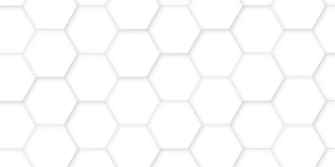 Fototapeta premium White hexagon tiles abstract background vector digital art 3d shadown geometric shapes