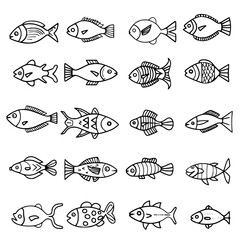 Obraz premium fish, sea, vector, fishing, silhouette, animal, illustration, icon, cartoon, nature, water, pattern, food, salmon, ocean, design, marine, art, set, seafood, seamless, shark, car, Seashells svg, Seashe