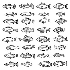 fish, sea, vector, fishing, silhouette, animal, illustration, icon, cartoon, nature, water, pattern, food, salmon, ocean, design, marine, art, set, seafood, seamless, shark, car, Seashells svg, Seashe