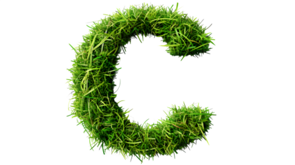 Letter C Made with Leaves, PNG File, Transparent Background, Isolated on White