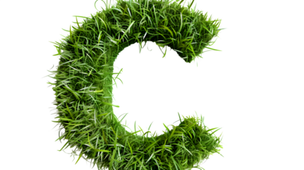 Letter C Made with Leaves, PNG File, Transparent Background, Isolated on White