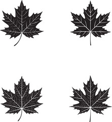 Maple Leaves Silhouette Vector Illustration