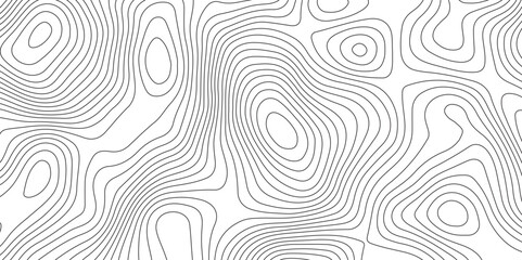 White topology topography vector art abstract background digital shapes contour map texture