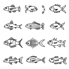 fish, sea, vector, fishing, silhouette, animal, illustration, icon, cartoon, nature, water, pattern, food, salmon, ocean, design, marine, art, set, seafood, seamless, shark, car, Seashells svg, Seashe