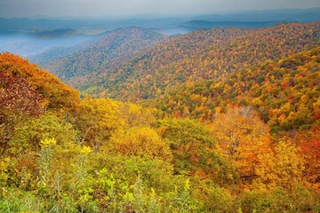 View from the Blue Ridge Parkway in North Carolina in the autumn season with the trees showing peak fall color.