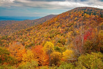 View from the Blue Ridge Parkway in North Carolina in the autumn season with the trees showing peak fall color.