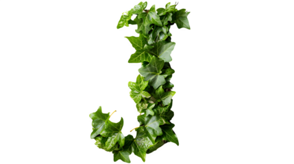 Letter J Made with Leaves, PNG File, Transparent Background, Isolated on White