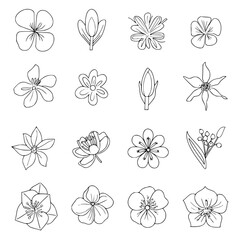 flower, flower silhouette, flower outline, herb svg, herb png,floral, pattern, vector, set, nature, flowers, design, illustration, art, seamless, spring, summer, decoration, plant, ornament, collectio