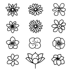 flower, flower silhouette, flower outline, herb svg, herb png,floral, pattern, vector, set, nature, flowers, design, illustration, art, seamless, spring, summer, decoration, plant, ornament, collectio