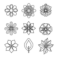 flower, flower silhouette, flower outline, herb svg, herb png,floral, pattern, vector, set, nature, flowers, design, illustration, art, seamless, spring, summer, decoration, plant, ornament, collectio