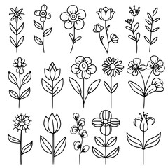 flower, flower silhouette, flower outline, herb svg, herb png,floral, pattern, vector, set, nature, flowers, design, illustration, art, seamless, spring, summer, decoration, plant, ornament, collectio