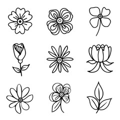 flower, flower silhouette, flower outline, herb svg, herb png,floral, pattern, vector, set, nature, flowers, design, illustration, art, seamless, spring, summer, decoration, plant, ornament, collectio