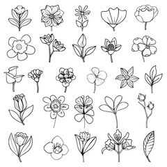 flower, flower silhouette, flower outline, herb svg, herb png,floral, pattern, vector, set, nature, flowers, design, illustration, art, seamless, spring, summer, decoration, plant, ornament, collectio