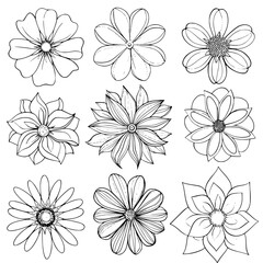 flower, flower silhouette, flower outline, herb svg, herb png,floral, pattern, vector, set, nature, flowers, design, illustration, art, seamless, spring, summer, decoration, plant, ornament, collectio