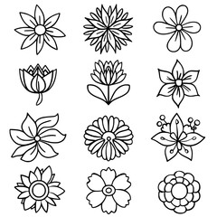 flower, flower silhouette, flower outline, herb svg, herb png,floral, pattern, vector, set, nature, flowers, design, illustration, art, seamless, spring, summer, decoration, plant, ornament, collectio
