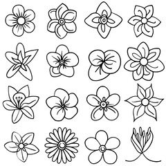 flower, flower silhouette, flower outline, herb svg, herb png,floral, pattern, vector, set, nature, flowers, design, illustration, art, seamless, spring, summer, decoration, plant, ornament, collectio