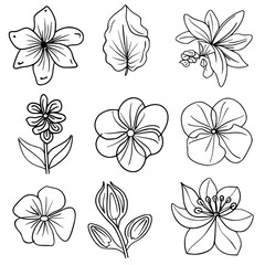 flower, flower silhouette, flower outline, herb svg, herb png,floral, pattern, vector, set, nature, flowers, design, illustration, art, seamless, spring, summer, decoration, plant, ornament, collectio