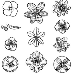 flower, flower silhouette, flower outline, herb svg, herb png,floral, pattern, vector, set, nature, flowers, design, illustration, art, seamless, spring, summer, decoration, plant, ornament, collectio