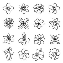 flower, flower silhouette, flower outline, herb svg, herb png,floral, pattern, vector, set, nature, flowers, design, illustration, art, seamless, spring, summer, decoration, plant, ornament, collectio
