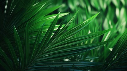 Obraz premium Tropical Vibes