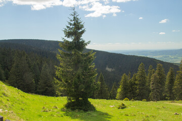 Śnieżnik, widok na Masyw Śnieżnika