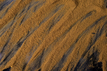Sand on a dark background. Abstraction. Ground coffee. Abstract picture. Background and wallpaper