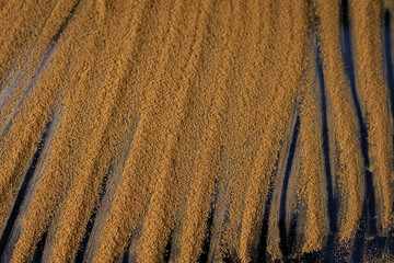 Coffee-lined strips. Coffee strips. Dark background. Ground coffee